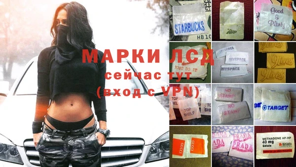 индика Армянск
