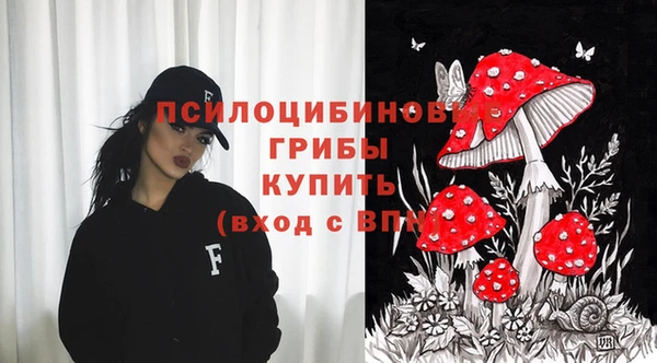 тгк Аркадак