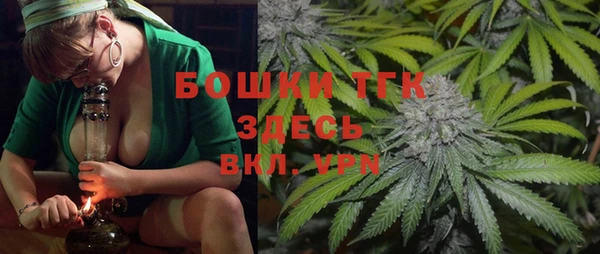 индика Армянск