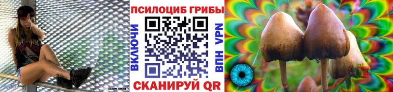 Псилоцибиновые грибы Psilocybine cubensis  наркошоп  Буинск 